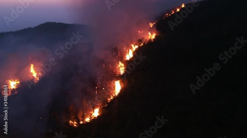 Forest fire scene