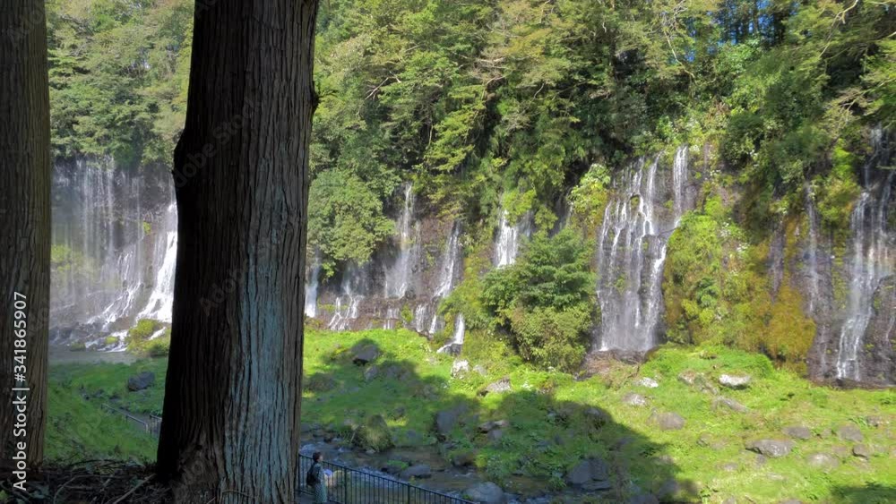 26922_The_big_trunk_of_the_tree_in_Shiraito_Falls_in_Japan.mov 26922_The_big_trunk_of_the_tree_in_Shiraito_Falls_in_Japan.mov