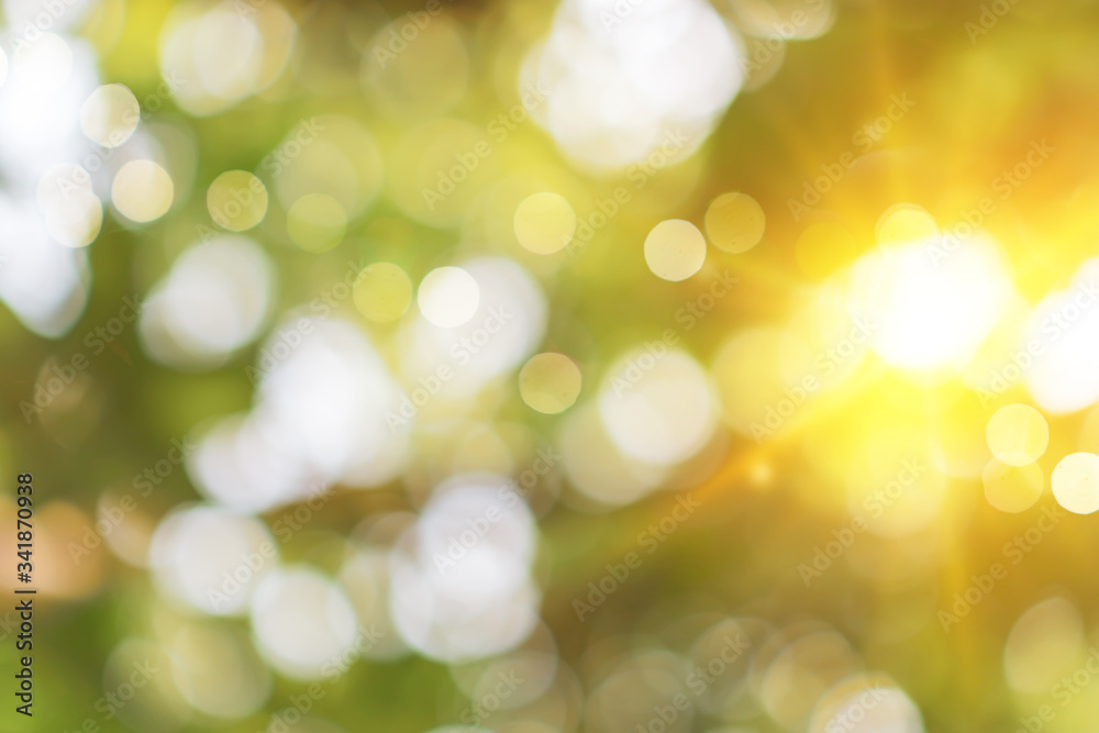 Fototapeta premium Selective green nature leaf with sunlight bokeh background.Vintage color tone style.