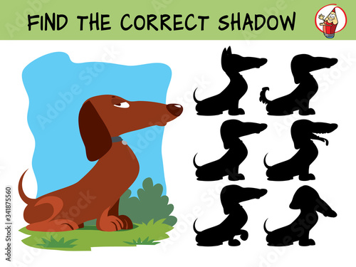 Dachshund. Funny small dog. Find the correct shadow. Educational matching game for children. Cartoon vector illustration