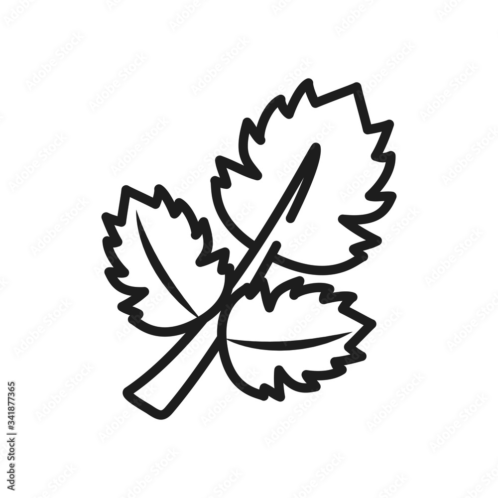 fruits and vegetables concept, coriander icon, line style fruits and vegetables concept, coriander icon, line style