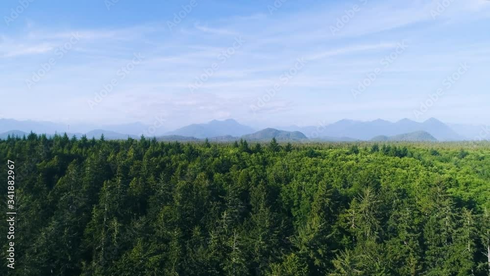Wide aerial shot of dense wilderness in temperate rain forest, with coastal mountains in background. West Coast, Tofino, Vancouver island, Canada. Wide aerial shot of dense wilderness in temperate rain forest, with coastal mountains in background. West Coast, Tofino, Vancouver island, Canada.
