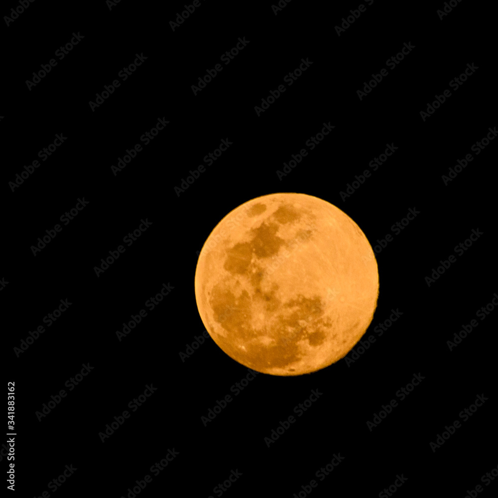 Fototapeta premium Pink super moon visible on April 7, 2020 and April 8, 2020