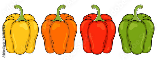 Poivrons (jaune, orange, rouge, vert). Illustration vectorielle sur fond blanc