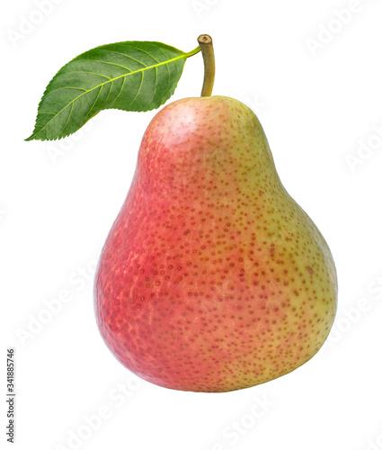 Fresh pear isolated on white background ,Red pear with cut piece on a white with clipping path