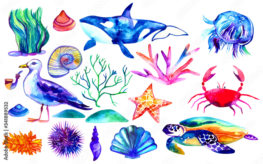 Set of watercolor underwater animals and seaweed includes whale, turtle, crab, jellyfish. Illustration isolated on white background
