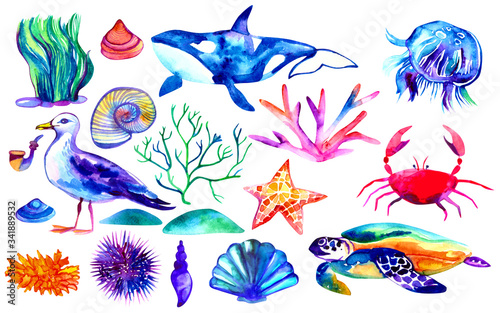 Set of watercolor underwater animals and seaweed includes whale  turtle  crab  jellyfish. Illustration isolated on white background
