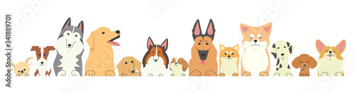 前足を乗っけているいろいろな種類の犬たちの列