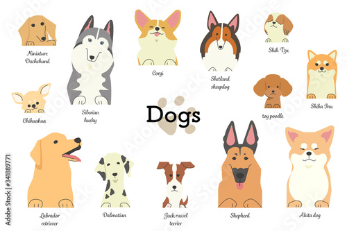 前足を乗っけているいろいろな種類の犬たち（種類付き）