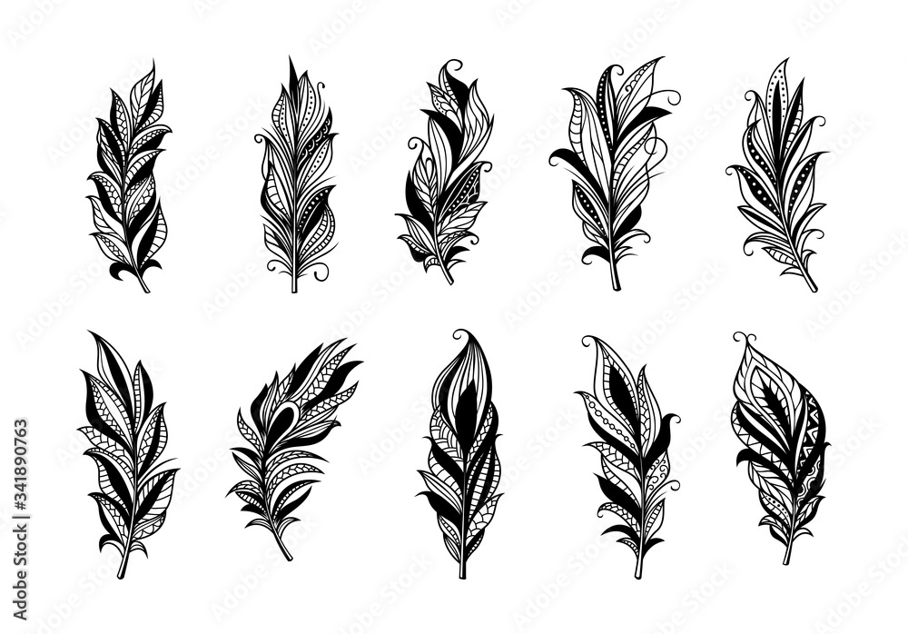 Obraz premium Set of peerless decorative feather illustration