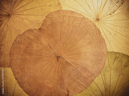 Paper made from dyed lotus leaves in brown tones for decoration or as a background.