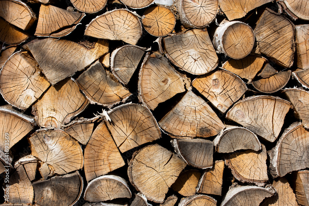 Fototapeta premium Birch firewood. Front image of firewood saw cuts. Firewood is dried and ready to kindle a fireplace. Cracked wood, texture is clearly visible. Horizontal photo, daylight
