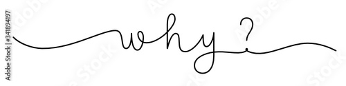 WHY? black vector monoline calligraphy banner with swashes