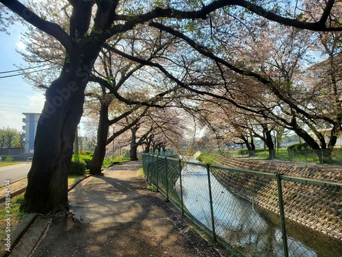 bridge in autumn