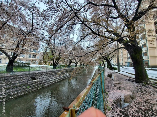 bridge over the river