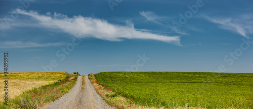 Straße in der Wüste Bardenas Reales Navarra