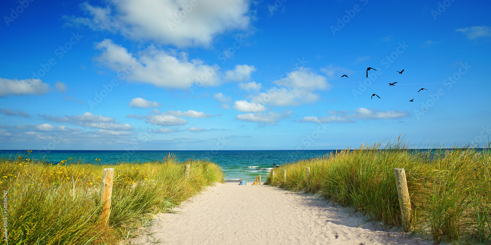 der Weg zum Meer durch den Sand der Weg zum Meer durch den Sand