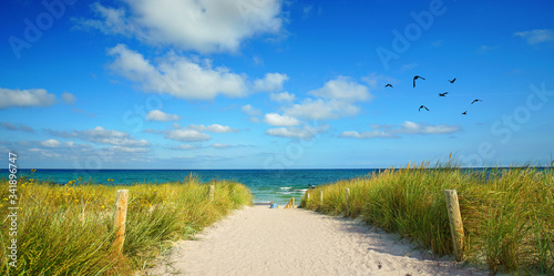 Fototapeta Naklejka Na Ścianę i Meble -  der Weg zum Meer durch den Sand