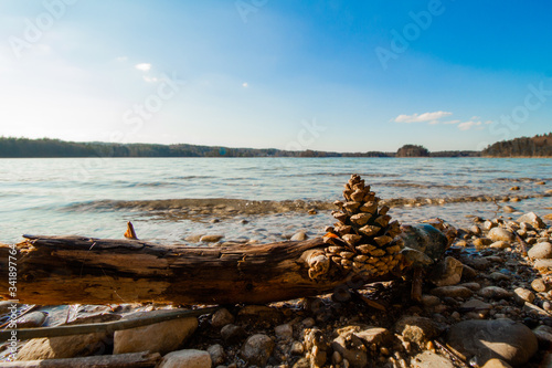 panoramic picture of the  Ostersee   located near Seeshaupt in bavaria  with a pinecone in the foreground