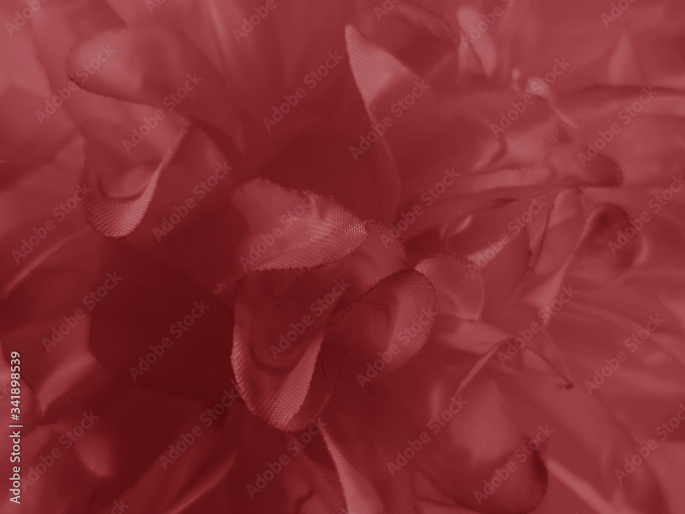 Beautiful abstract color pink and red flowers graphic on black background and light black and pink flower frame and pink leaves texture, dark background, red banner happy 