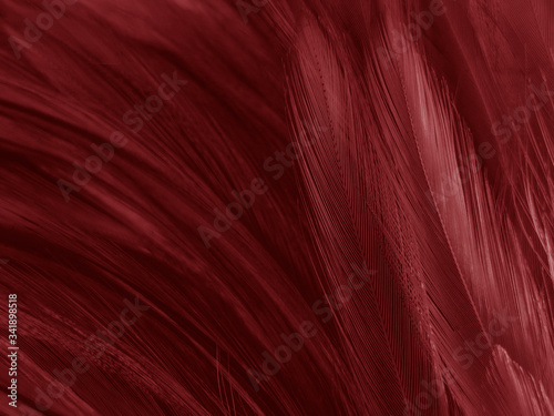 Beautiful abstract white and red feathers on white background and soft white feather texture on red pattern and red background, pink feather background , white banners