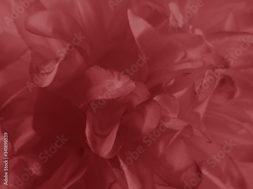 Beautiful abstract color pink and red flowers graphic on black background and light black and pink flower frame and pink leaves texture, dark background, red banner happy  © Weerayuth