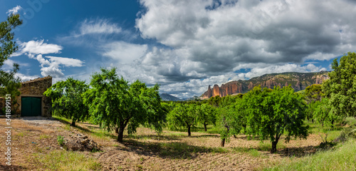Landschaft mit Obst- und Olivenbäumen in Aragon, Sapnien