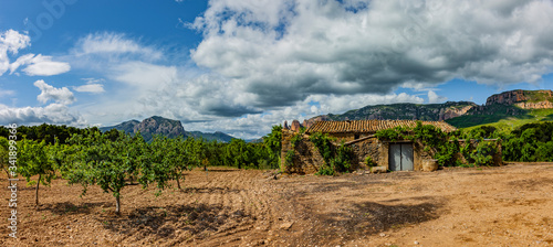 Landschaft mit Obst- und Olivenbäumen in Aragon, Sapnien