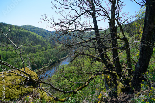 view from mountain umlaufberg in the nationalpark thayatal, lower austria photo