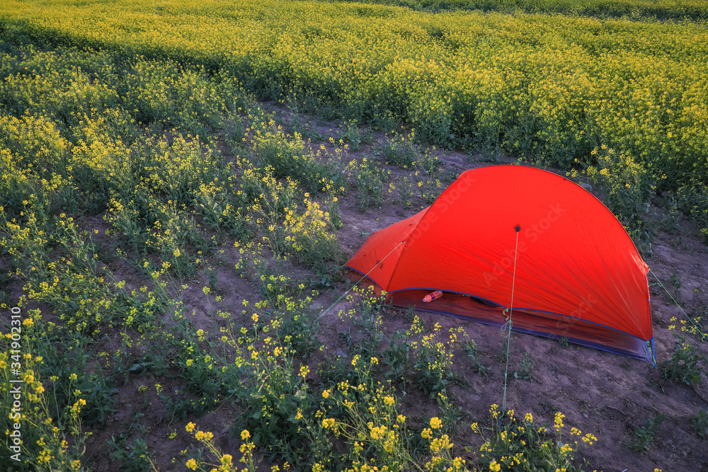 Orange tent stands on a rapeseed field yellow flowers outdoor activities and camping