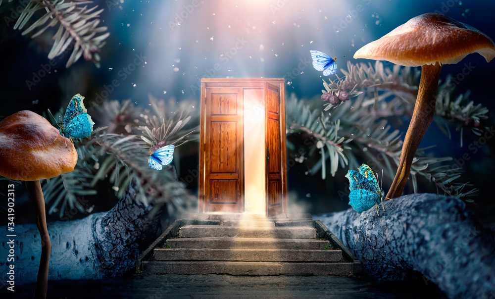 Fototapeta premium Fantasy zaczarowany bajkowy las z magicznie otwieranymi sekretnymi drzwiami i schodami prowadzącymi do mistycznego blasku światła za bramą, grzybami i latającymi bajkowymi magicznymi motylami w lesie