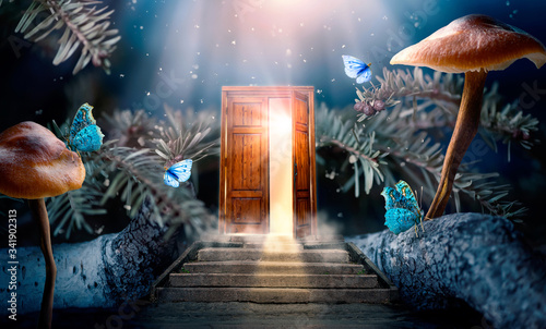 Canvas-taulu Fantasy enchanted fairy tale forest with magical opening secret door and stairs