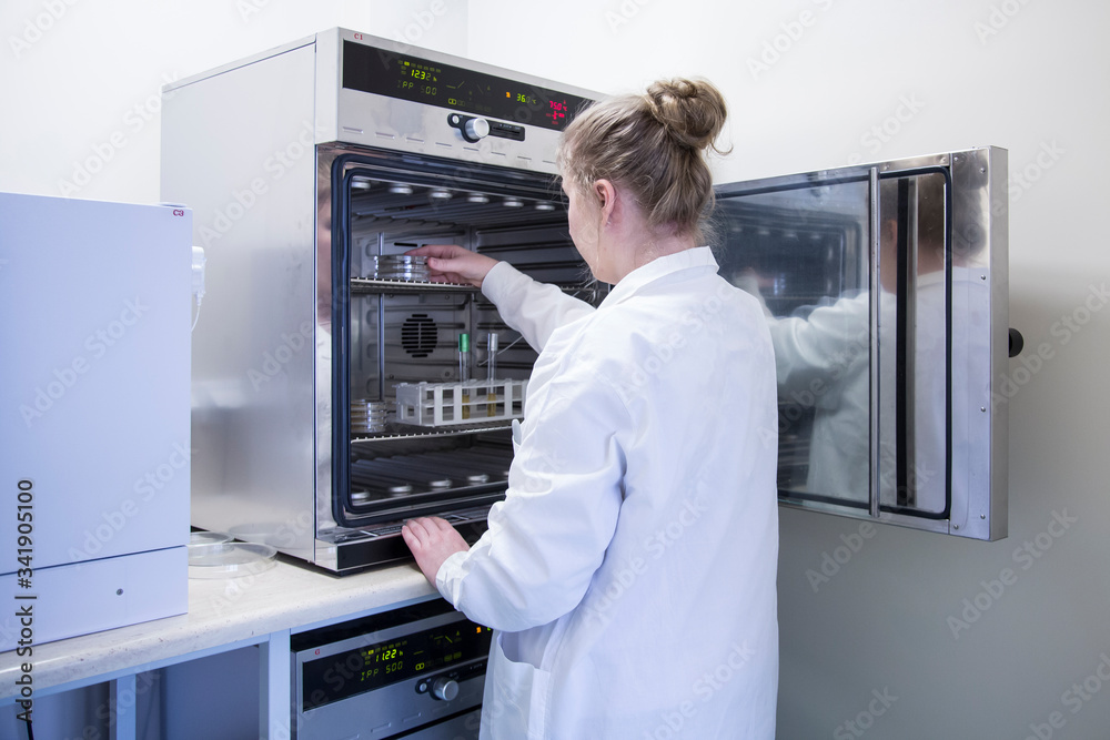 fabric laboratory fabric laboratory