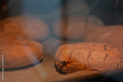 Homemade round brown rye fletbread baking in electric oven. Production oven at the bakery. Fresh and crunchy home made bread. View through glass oven door. Selective focus photo