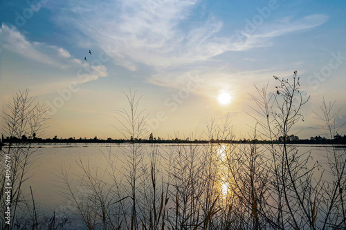 The sun sets in a flooded field in An Giang  Vietnam.