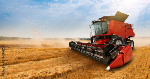 Combine harvester on the wheat field
