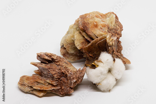 Desert rose. Natural rose-like crystals and cotton flower isolated on white background