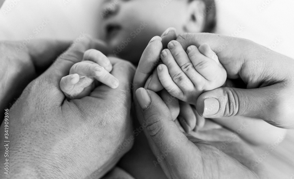 black and white photo, parents hold the hands of a newborn baby black and white photo, parents hold the hands of a newborn baby