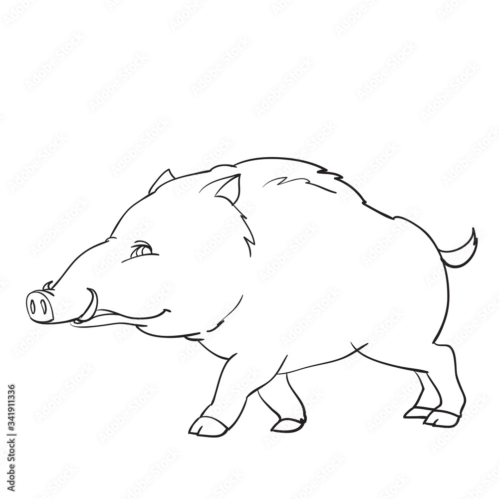 Obraz premium wild boar, wild animal, outline drawing, coloring, isolated object on a white background, vector illustration,