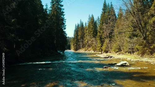 Mountain pine river flight over drone river soars above mountain water