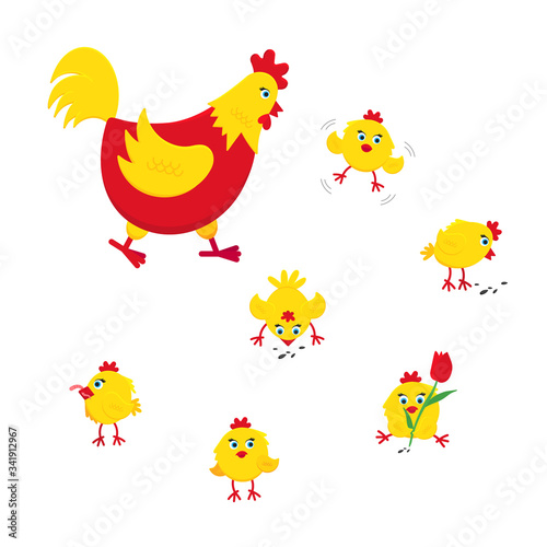 Yellow and red chicken funny cute little chicks babies flat style design vector illustration. Chicken farming poultry symbol icon signs. Domestic bird isolated on white background.