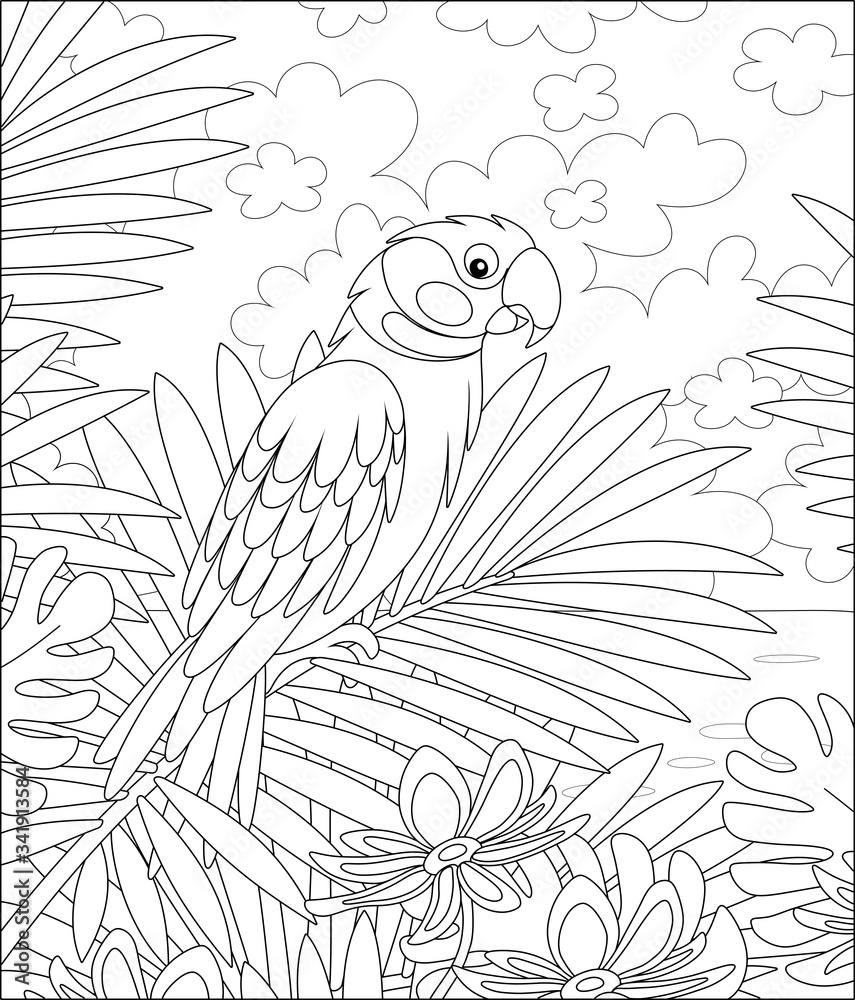 Amusing parrot, long-tailed, perched on a palm tree branch in a tropical jungle, wild scenery, black and white vector cartoon illustration for a coloring book page Amusing parrot, long-tailed, perched on a palm tree branch in a tropical jungle, wild scenery, black and white vector cartoon illustration for a coloring book page