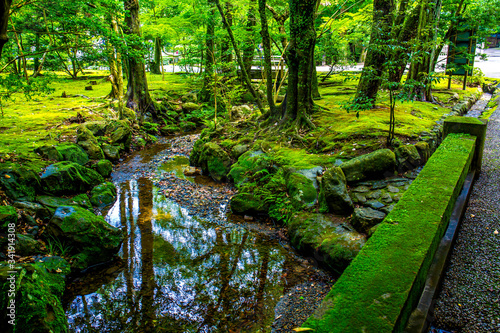 Japanese garden with flourish plantation. Relaxing emotion