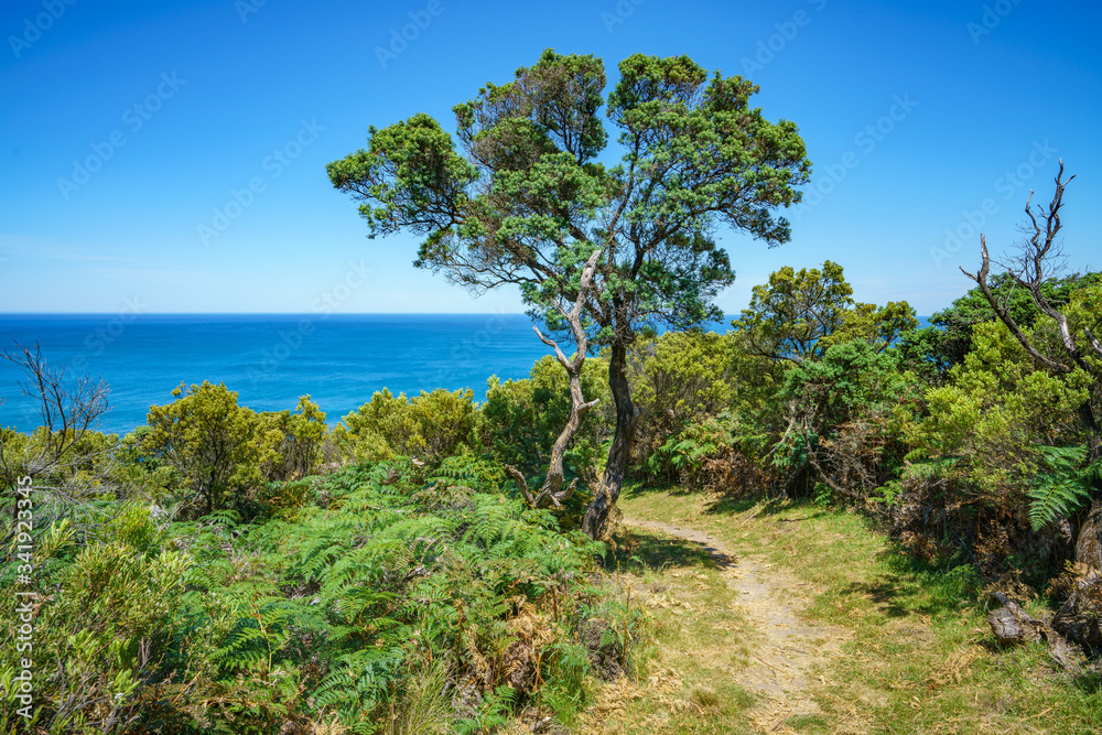 hiking the great ocean walk to milanesia beach, coast of victoria, australia