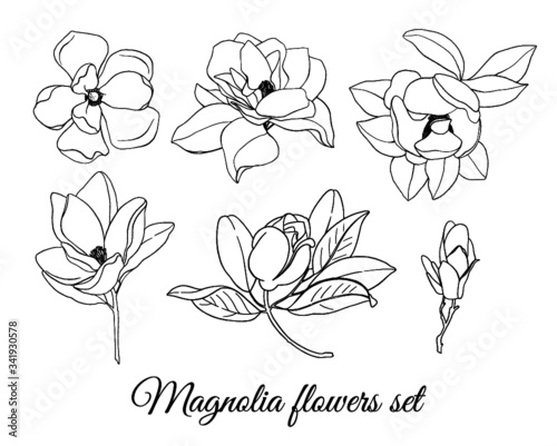 Set of outline magnolias flowers, buds and leaves