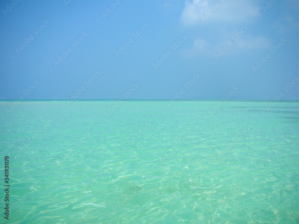 きれいな海 水面