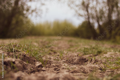 Dry land, future of soil erosion on Earth, cracked soil due to climate change, global desertification 