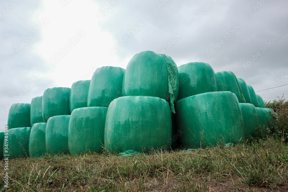 Wrapped hay rolls stacked one on top of another. Wrapped hay rolls stacked one on top of another.