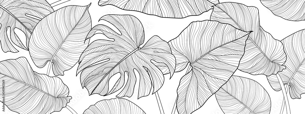Nature background vector. Black and white floral pattern, Split-leaf Philodendron plant with monstera plant line arts, Vector illustration.