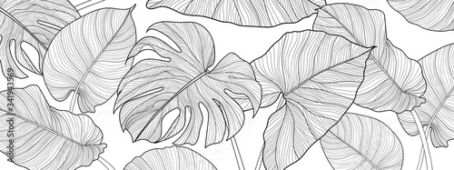 Nature background vector. Black and white floral pattern, Split-leaf Philodendron plant with monstera plant line arts, Vector illustration.